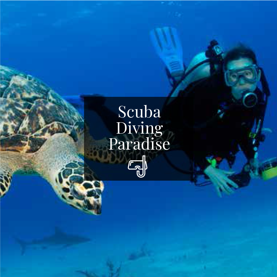Scuba Diving Paradise